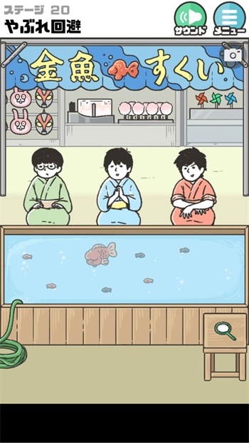 家里有四只猫猫的日常