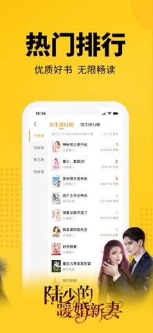 2025十大年度IP评选